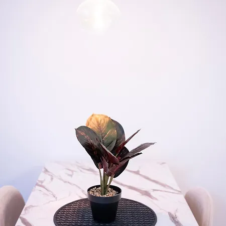Andrej Lux *